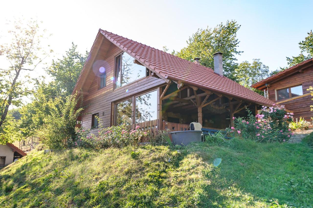 Rose Hip Hill Farm Panzió Hármaspatak Kültér fotó