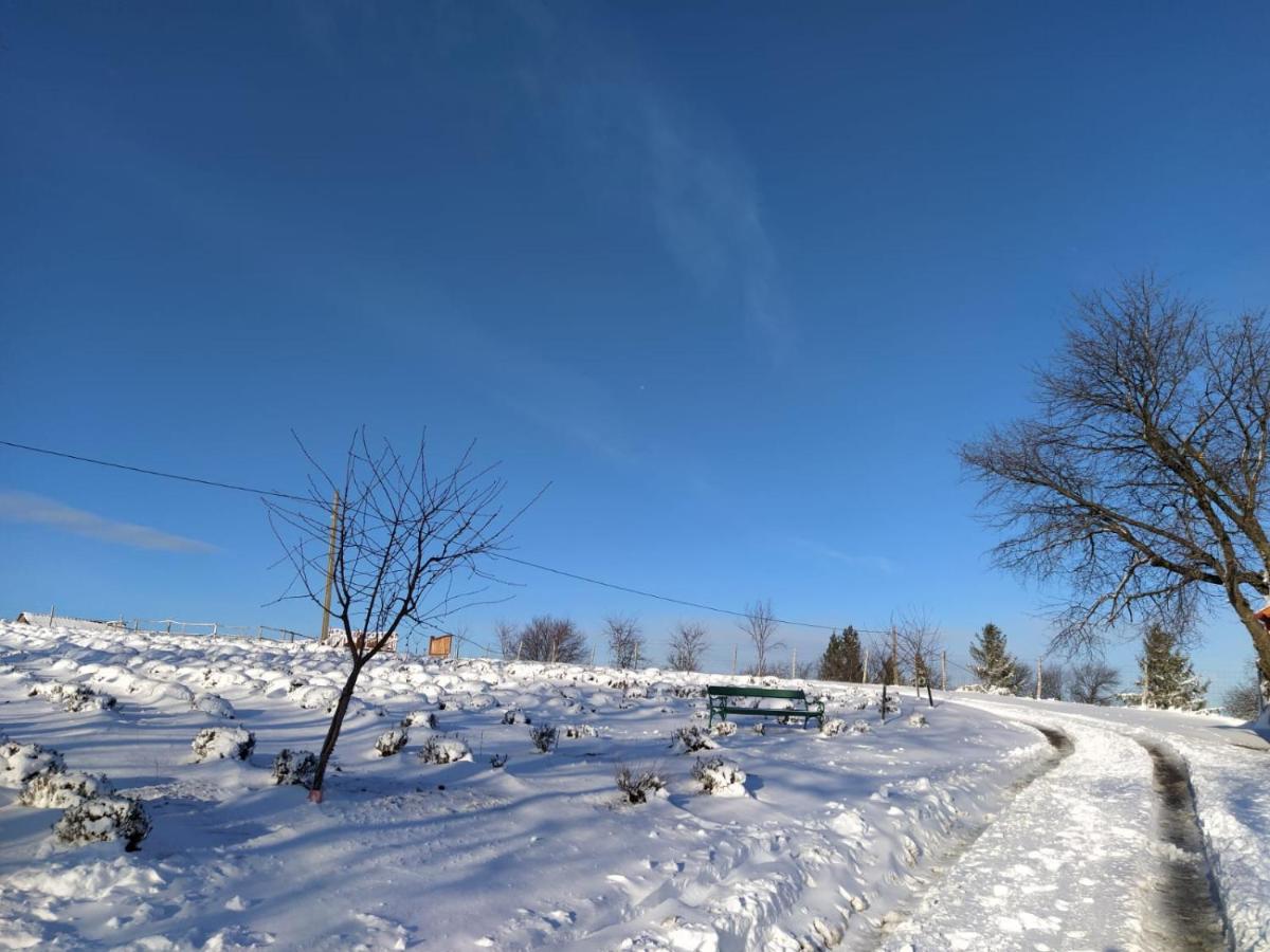 Rose Hip Hill Farm Panzió Hármaspatak Kültér fotó
