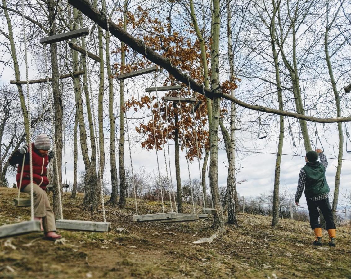 Rose Hip Hill Farm Panzió Hármaspatak Kültér fotó