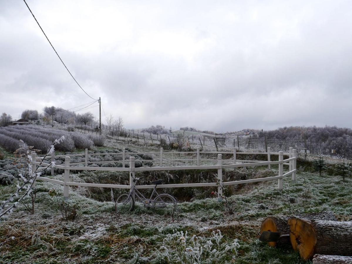 Rose Hip Hill Farm Panzió Hármaspatak Kültér fotó