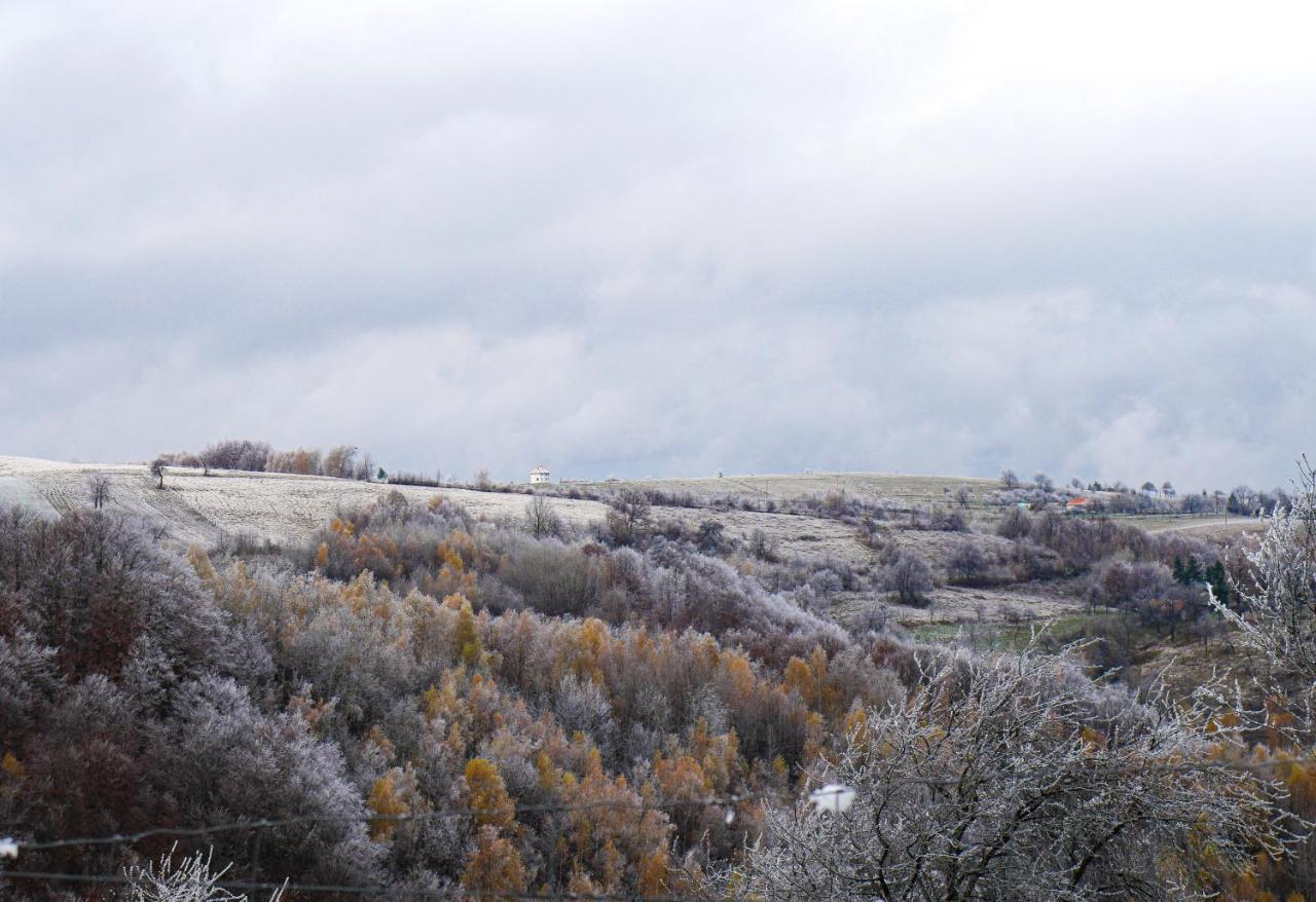 Rose Hip Hill Farm Panzió Hármaspatak Kültér fotó