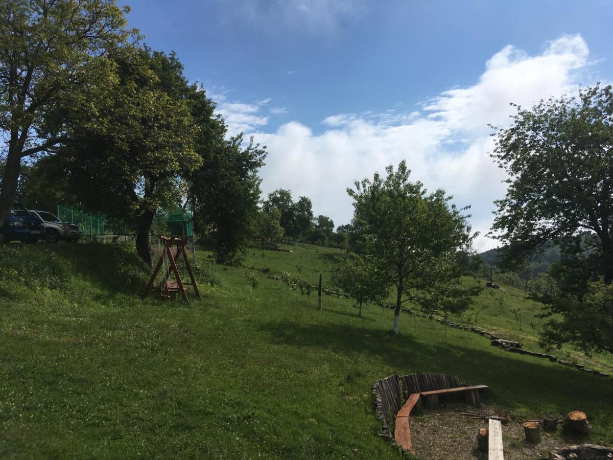Rose Hip Hill Farm Panzió Hármaspatak Kültér fotó